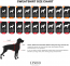LINDODOGS Jurassic DOG Sweat Size 4