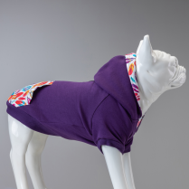 LINDODOGS Indian Sweatshirt Size 4