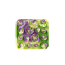 TALL TAILS Succulent Silicone Foraging Mat