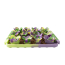 TALL TAILS Succulent Silicone Foraging Mat