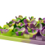 TALL TAILS Succulent Silicone Foraging Mat