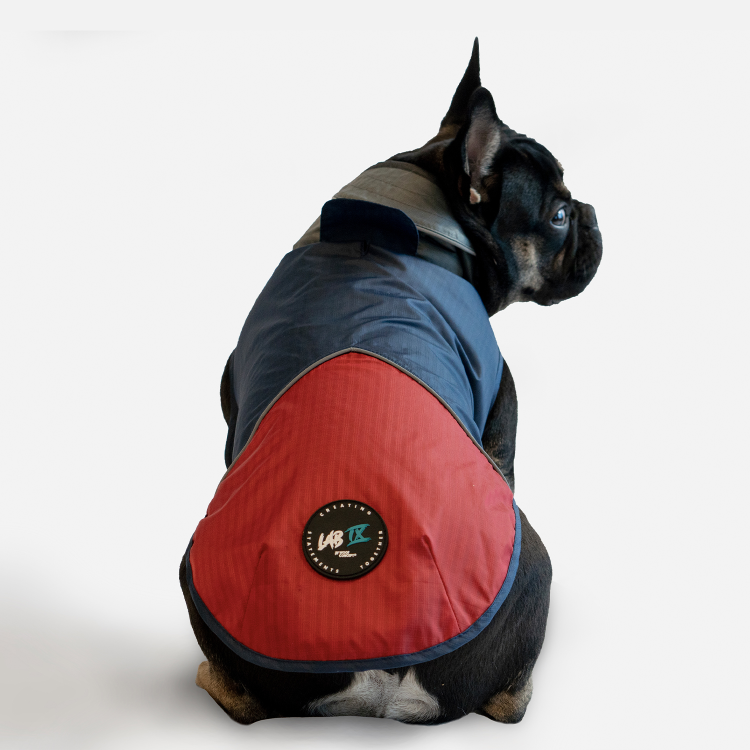 WOOF Concept Lab IX Arrow Navy Blue and Red Windbreaker 18