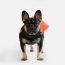 WOOF Concept Lab IX Wintertide Jacket Blood Orange 28