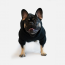 WOOF Concept Lab IX Casual Haze Black Hoodie 16