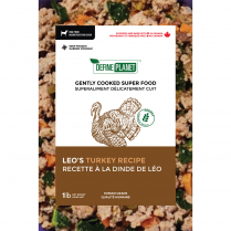 DEFINE Planet Leo's Turkey Gently Cooked 1lb