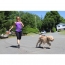 BUDZ Dog Running Leash Black 72" x 1"