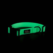 WOOF Concept Collar AQUA Lumen Glow in the Dark Medium