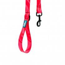 WOOF Concept Leash AQUA Cosmopolitan Large