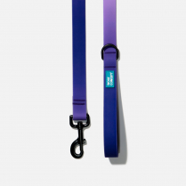 WOOF Concept Leash AQUA Empress Large
