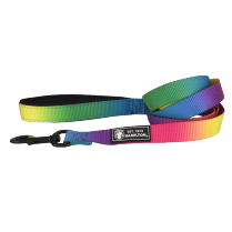HAMILTON 1"X6' Nylon Lead W/Padded Handle