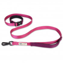 HAMILTON 1"X6' Get Out & Go Leash Raspberry Wine