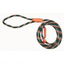 HAMILTON 3/8"X6' Quick Walker Lead and Collar - Green