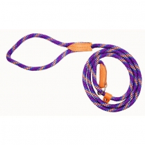 HAMILTON 3/8"X6' Quick Walker Lead and Collar - PURPLE