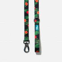 WOOF Concept Leash Ikonic Maui 2 Large