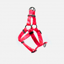 WOOF Concept Harness AQUA Cosmopolitan Small