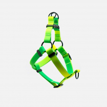 WOOF Concept Harness AQUA Lime Margarita Medium