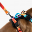 WOOF Concept Max Control Mesh Harness Polygon Large
