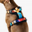 WOOF Concept Max Control Mesh Harness Polygon Large