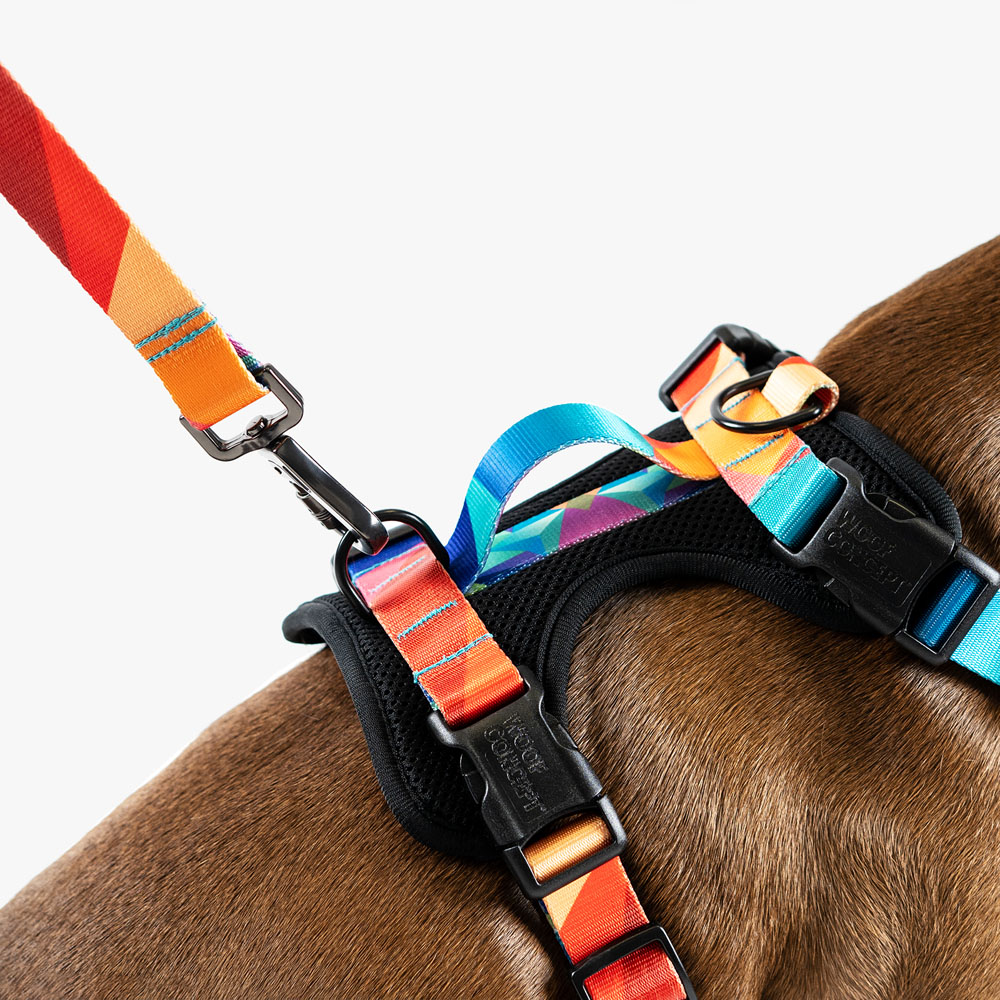 WOOF Concept Max Control Mesh Harness Polygon XLarge