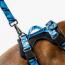 WOOF Concept Max Control Mesh Harness Apex Small