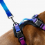 WOOF Concept Max Control Mesh Harness Mystic XLarge