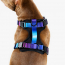 WOOF Concept Max Control Mesh Harness Mystic XLarge