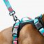 WOOF Concept Max Control Mesh Harness Five-O Large