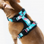 WOOF Concept Max Control Mesh Harness Five-O Large