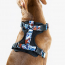 WOOF Concept Max Control Mesh Harness Koi XLarge