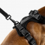 WOOF Concept Max Control Mesh Harness Noir 2 XLarge