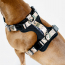 WOOF Concept Max Control Mesh Harness SleeStack Small