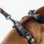 WOOF Concept Max Control Mesh Harness Brooklyn XLarge