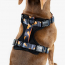 WOOF Concept Max Control Mesh Harness Brooklyn XLarge