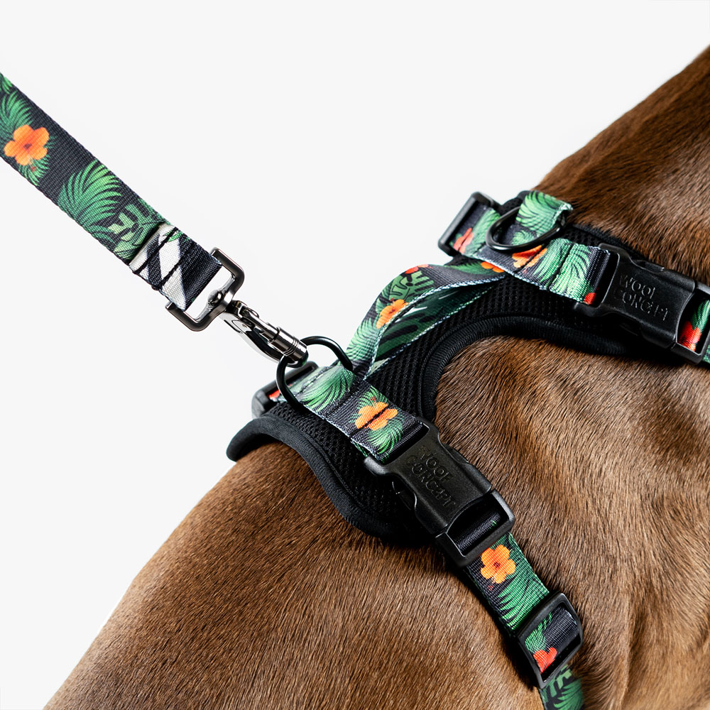 WOOF Concept Max Control Mesh Harness Maui 2 Small