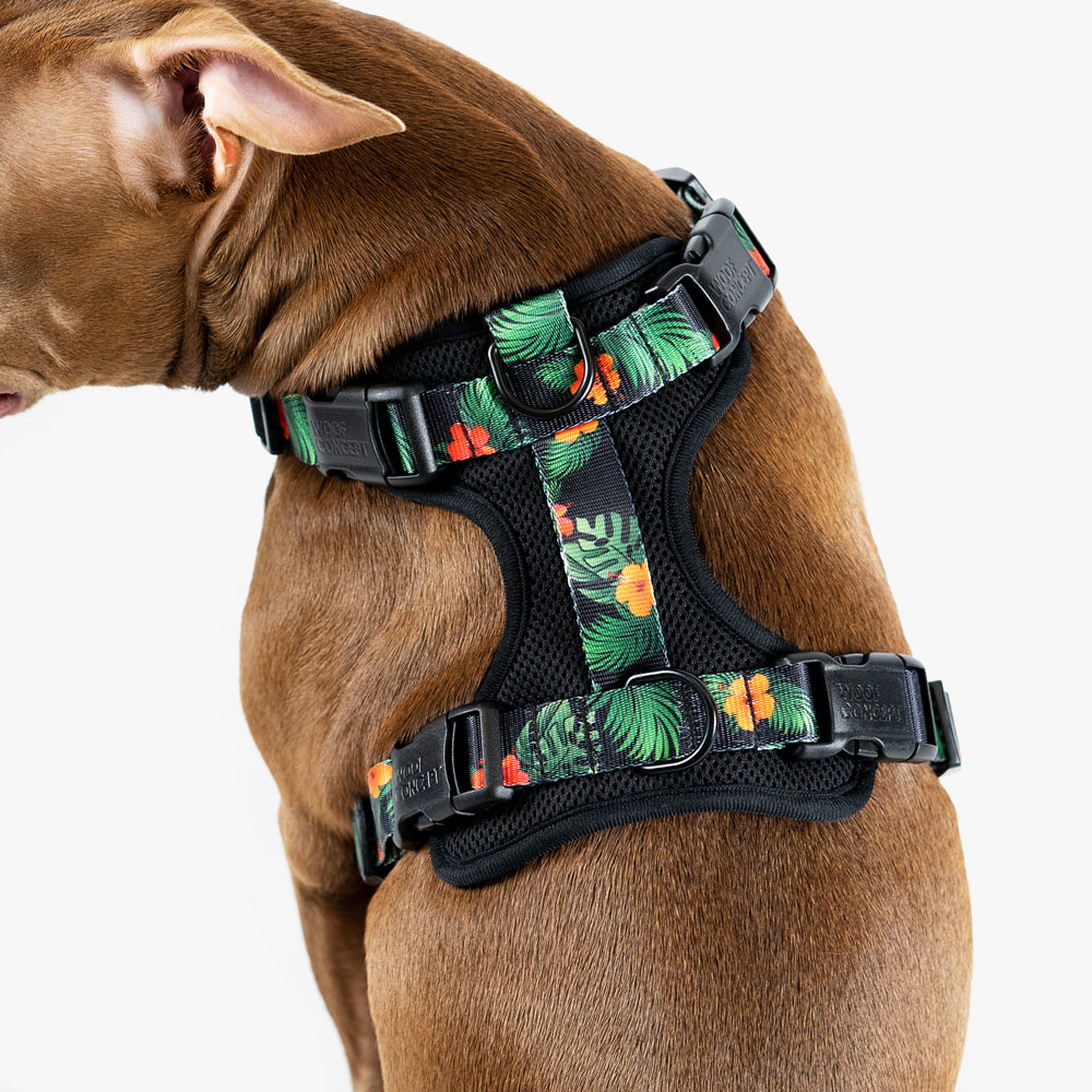 WOOF Concept Max Control Mesh Harness Maui 2 Small