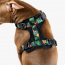 WOOF Concept Max Control Mesh Harness Maui 2 XLarge