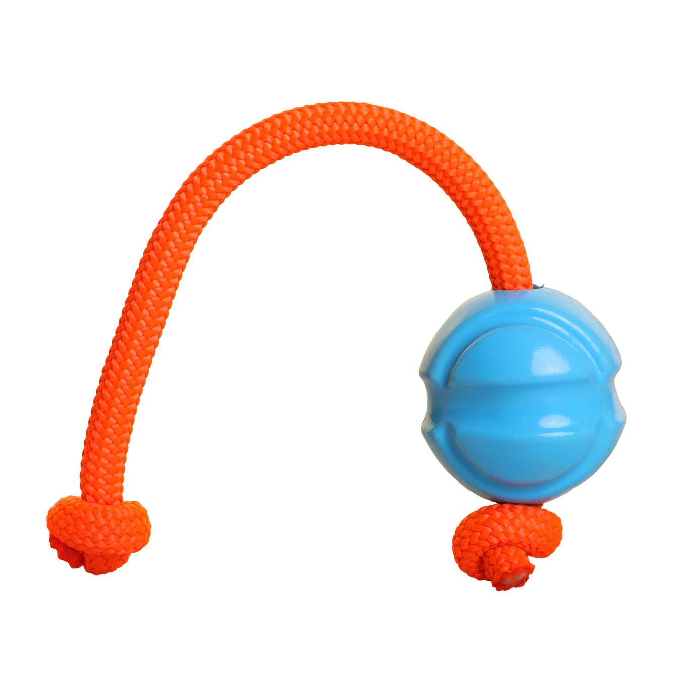 DOOG Fetchable Ball and Rope  Blue