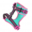 DOOG Neon Dog Harness Rin Tin Tin MEDIUM