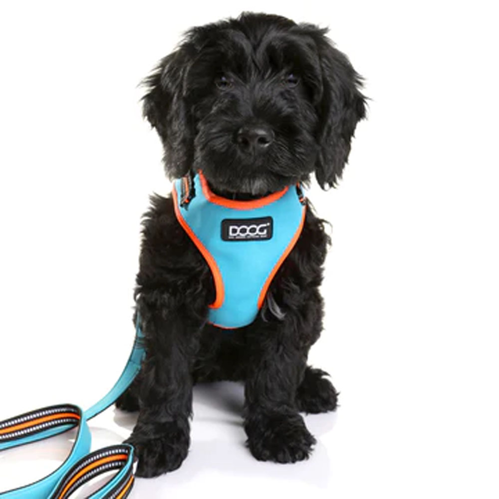 Neon 2024 dog harness