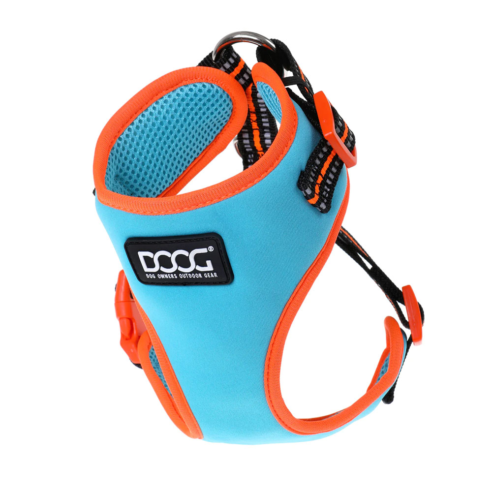 Neon clearance dog harness