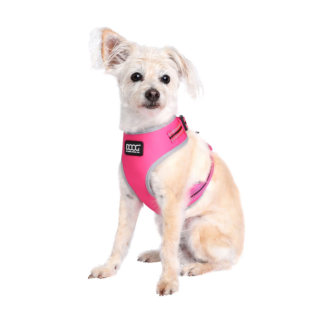 Neon shop dog harness