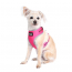 DOOG Neon Dog Harness Lady LARGE
