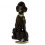 DOOG Neon Dog Collar Bolt SMALL