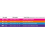 DOOG Neon Dog Collar Lassie MEDIUM