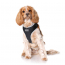 DOOG Neoflex Dog Harness Lassie SMALL