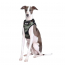 DOOG Neoflex Dog Harness Bruiser LARGE