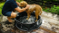 DOOG Pop-Up Dog Pool LARGE
