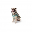 GF PET  RV TRAIL JACKET  DENIM  4XL (MDISC)