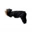GF PET  Creekside Snowsuit  BLACK  M