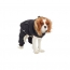 GF PET  Creekside Snowsuit  BLACK  M